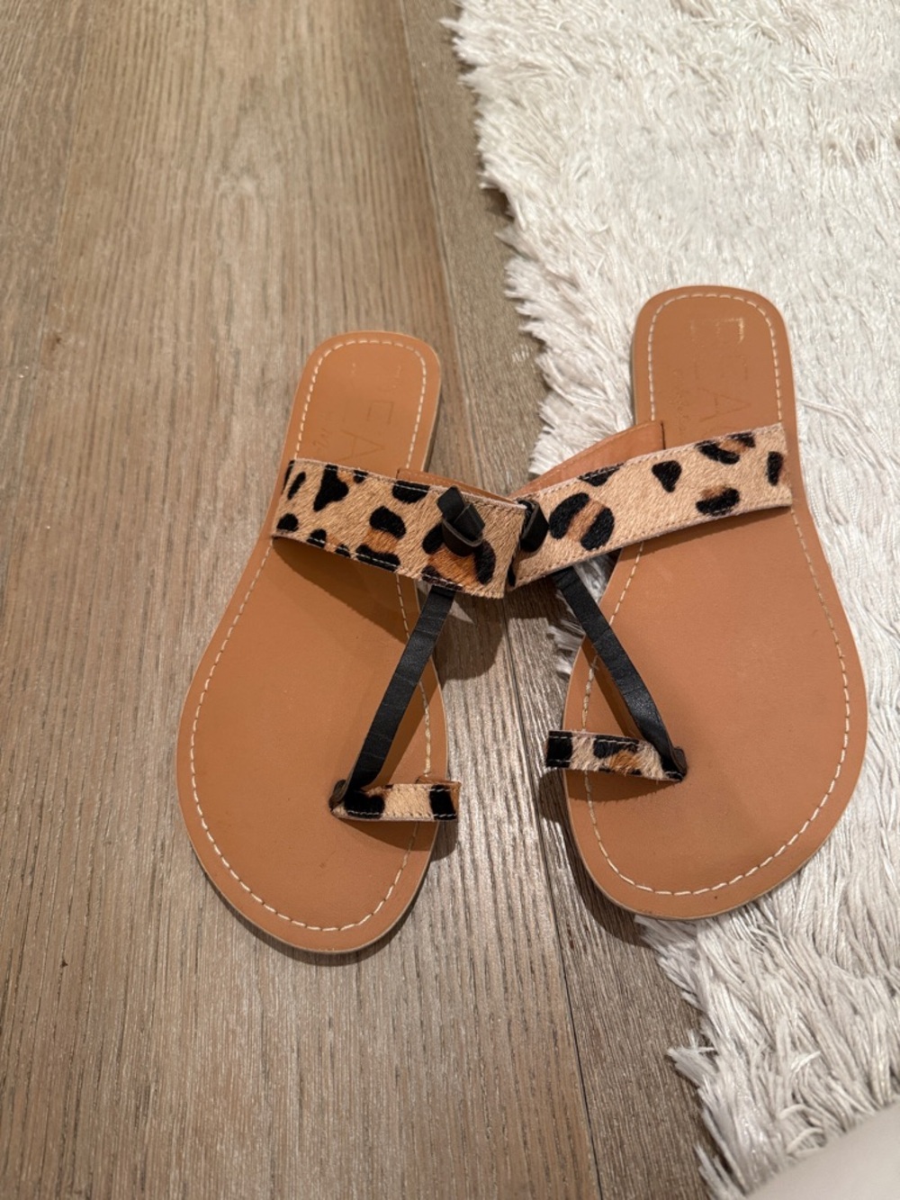 Leopard Print Toe-Loop Sandals - Brown